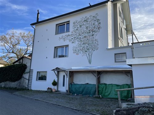 fassadensanierung beinwil-am-see